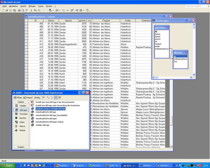 Fischdatenbank mit MS Access