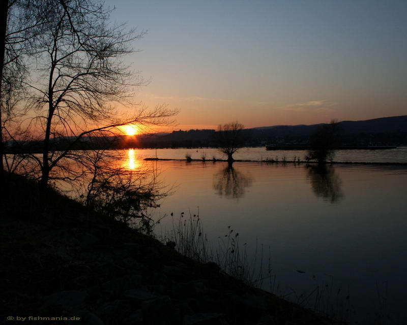 Rhein bei Ingelheim